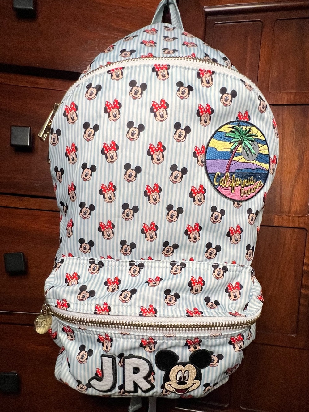 CATCH & RELEASE SCL DYNAMIC DUO classic backpack VERY USED but no rips